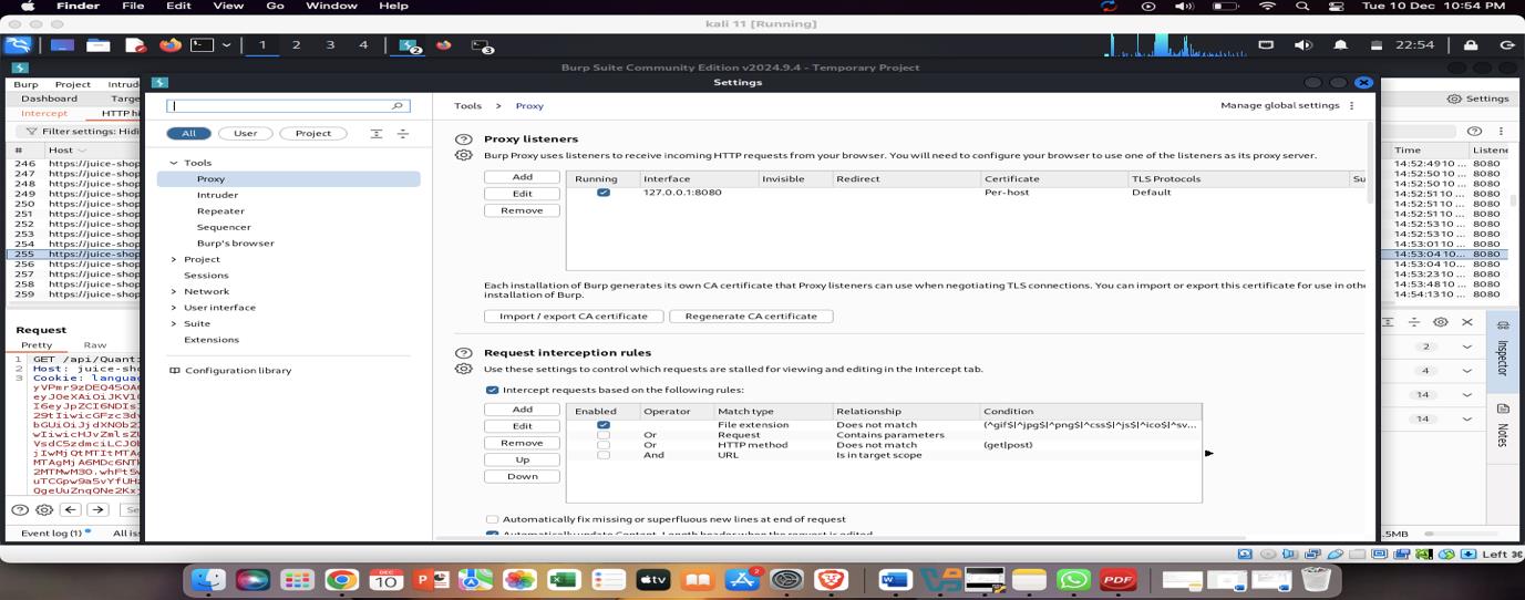 Burp Suite Proxy Settings