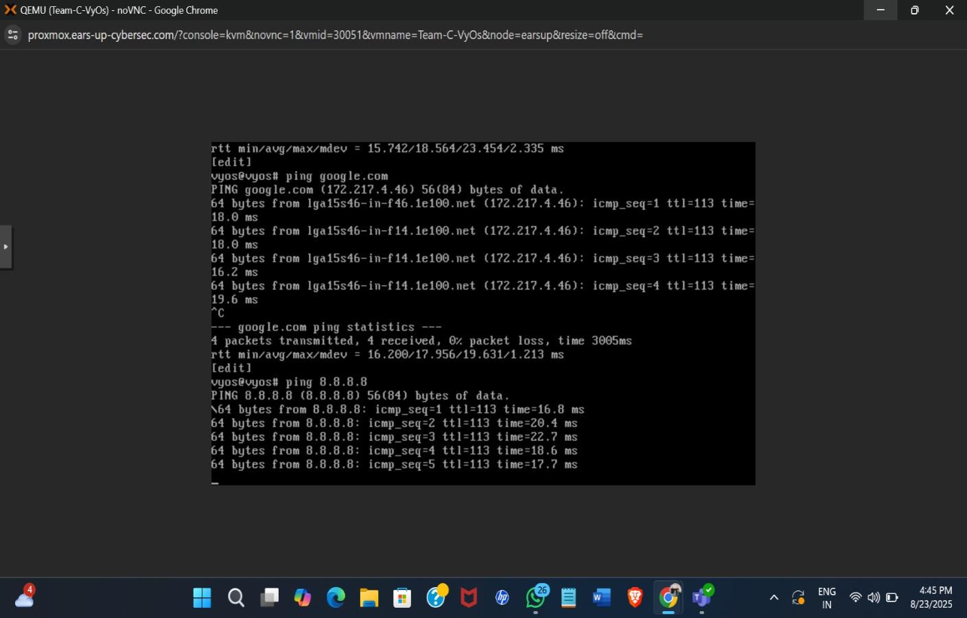 VyOS Connectivity Test