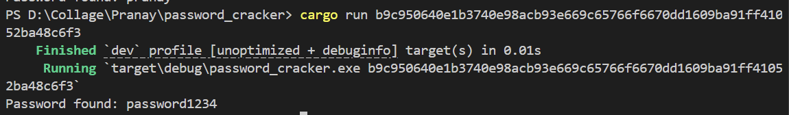 Figure 3: Testing password1234